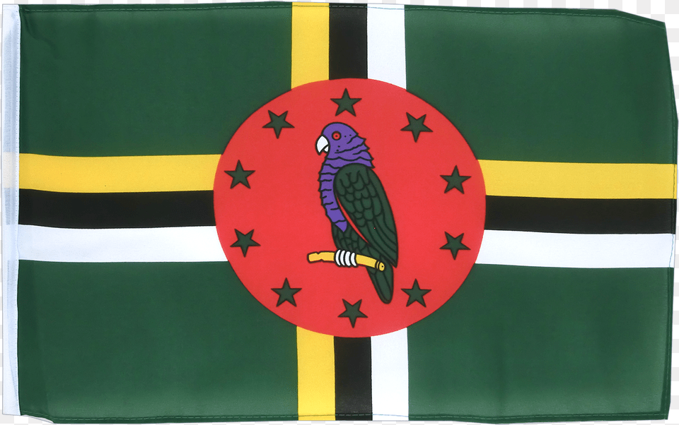 Dominican Republic Flag Green, Animal, Bird Free Transparent Png