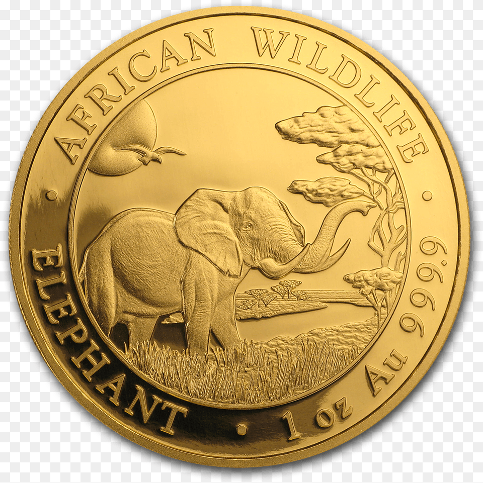 Dominican Republic Gold Coins, Animal, Elephant, Mammal, Wildlife Png Image