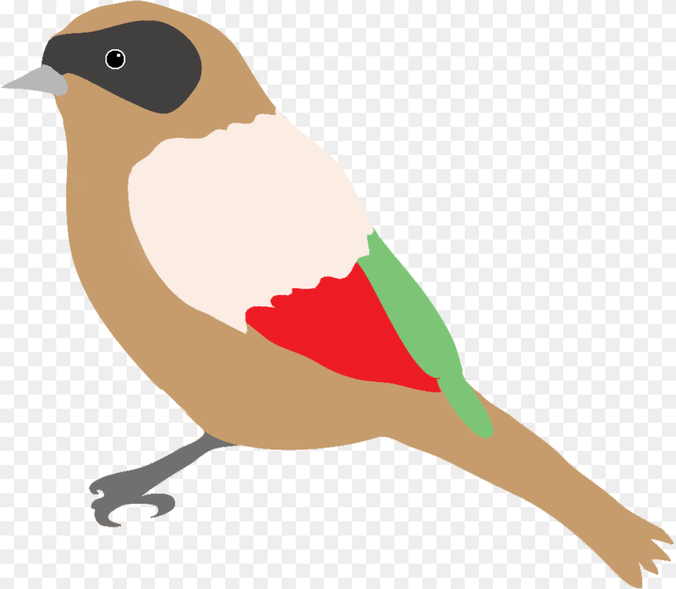 Dompaplike Bird With Colors Birds Drawing, Animal, Beak, Jay, Fish Free Png Download