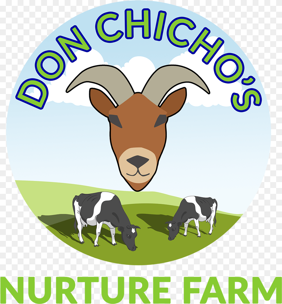 Don Chicho39s Bighorn, Livestock, Animal, Cattle, Cow Png Image