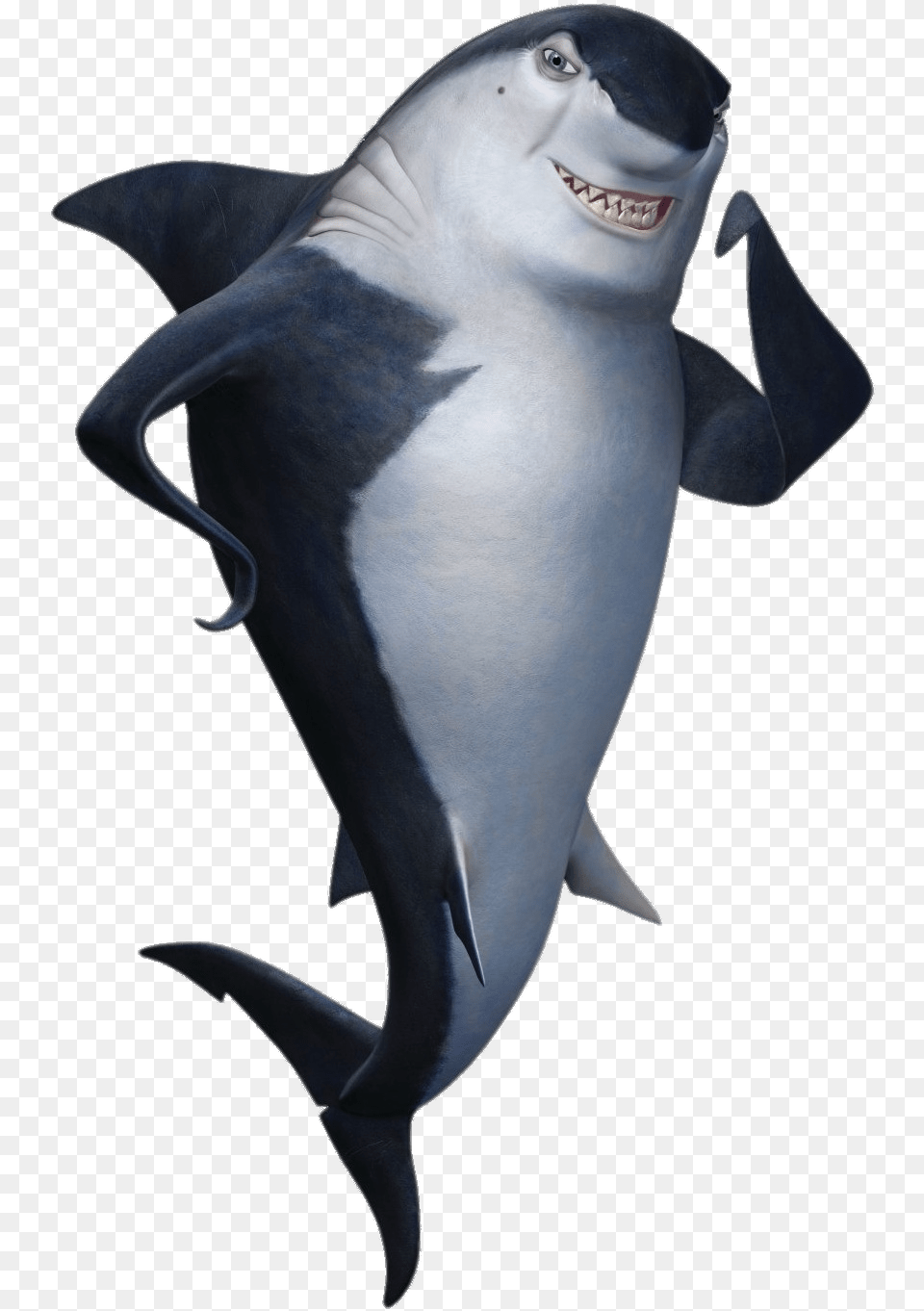 Don Lino The Shark Transparent Shark Tale Don Lino, Animal, Sea Life, Fish, Mammal Png Image