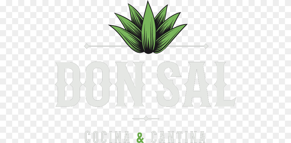 Don Sal Rgb White Don Sal, Leaf, Plant Free Png