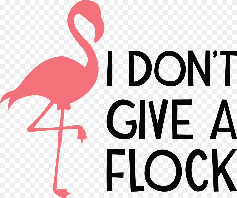 Don T Give A Flock, Animal, Bird, Flamingo, Baby Png Image