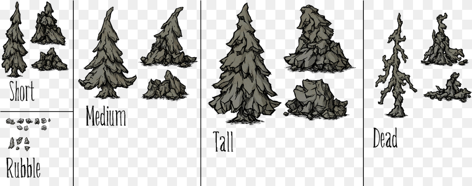 Don T Starve Tree Texture, Plant, Fir, Festival, Christmas Free Png
