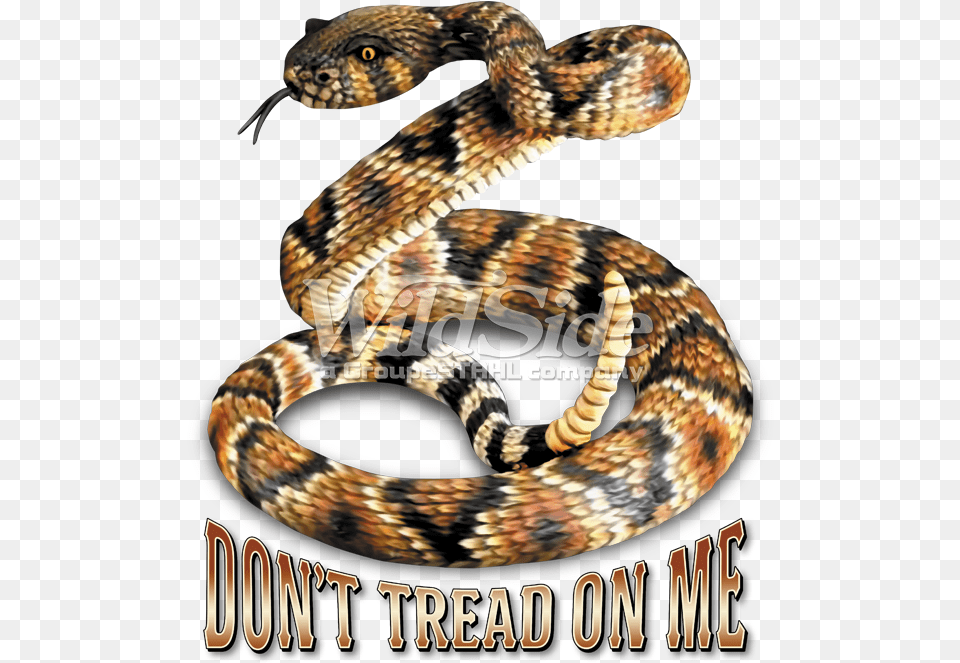 Don T Tread On Me, Animal, Reptile, Snake, Rattlesnake Free Transparent Png