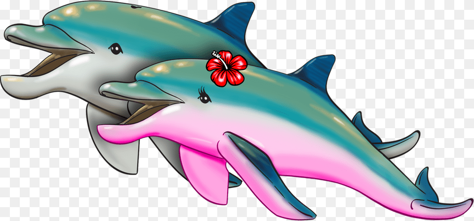 Donald Amp Daisy The Dolphins Common Bottlenose Dolphin, Animal, Mammal, Sea Life, Fish Png