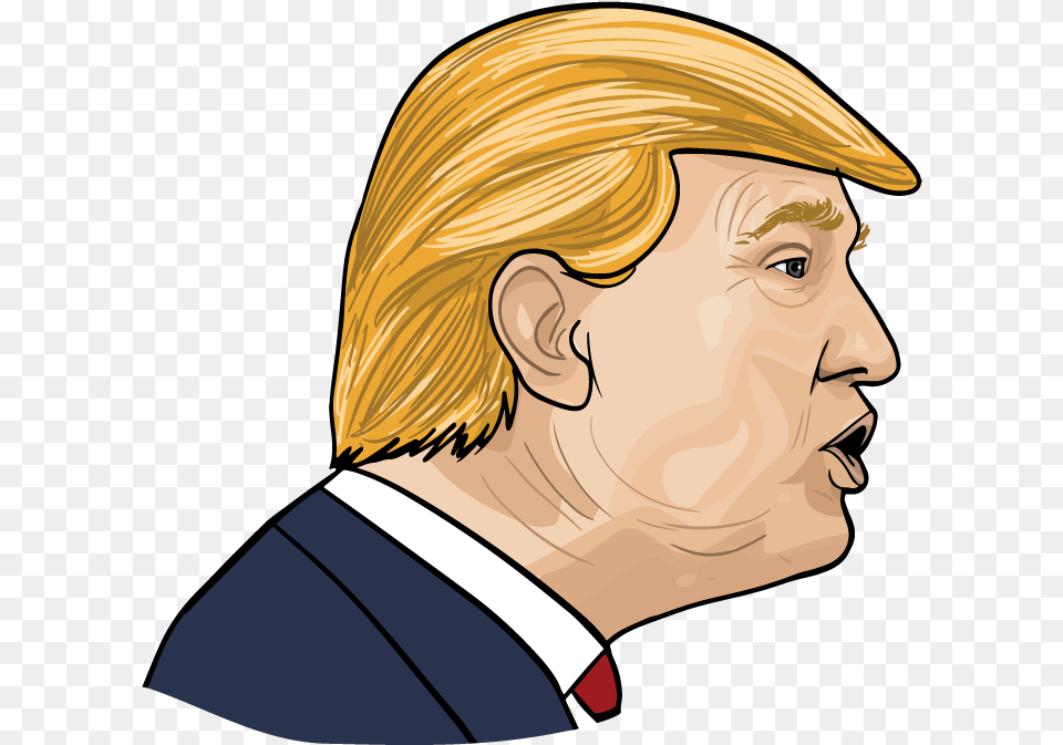 Donald Cartoon Trump File Hd Clipart Donald Trump Face Cartoon, Adult, Portrait, Photography, Person Png Image