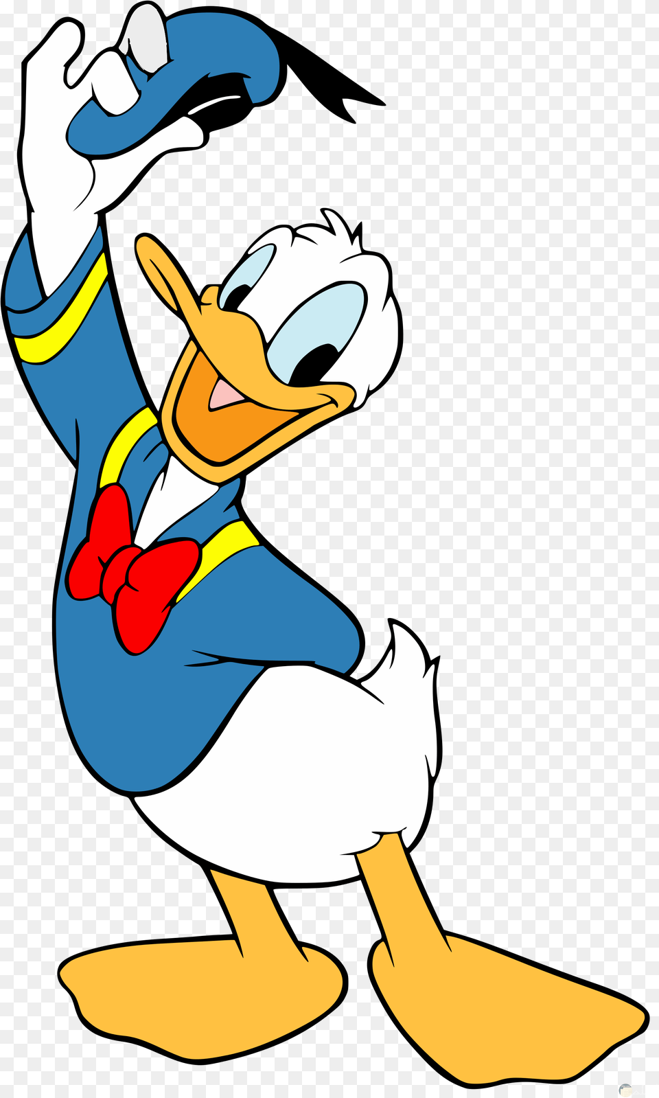 Donald Duck, Cartoon, Animal, Fish, Sea Life Png Image