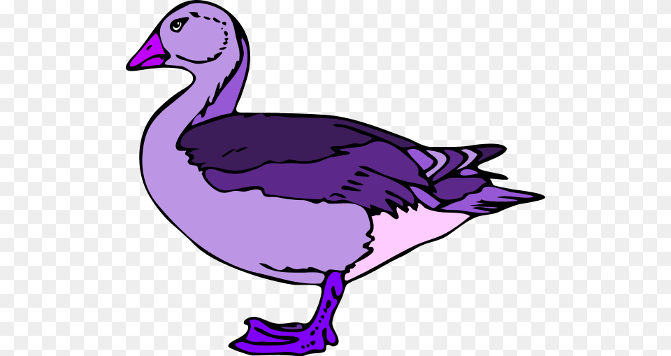 Donald Duck Baby Ducks Clip Art, Animal, Bird, Goose, Waterfowl Png Image
