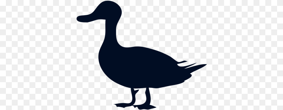 Donald Duck Mallard Silhouette Clip Art Belligerent Duck, Animal, Bird, Anseriformes, Waterfowl Free Transparent Png