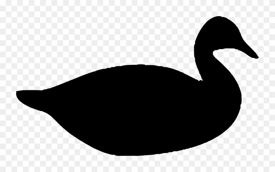 Donald Duck Mallard Silhouette Drawing, Gray Free Transparent Png
