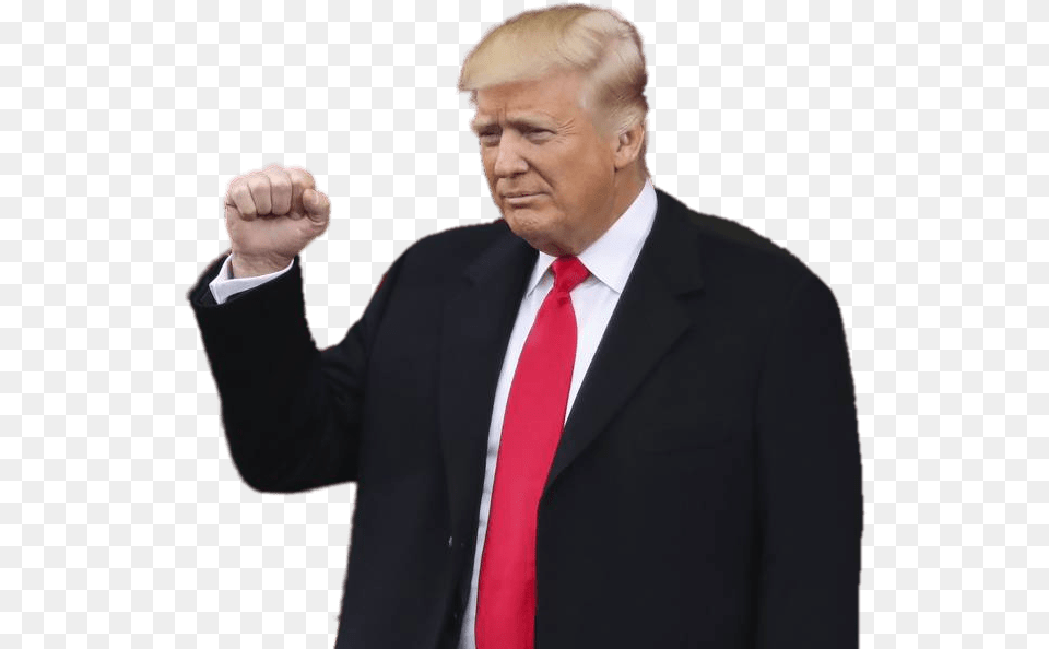 Donald Inauguration Transparent Stickpng Donald Trump, Accessories, Suit, Person, People Free Png