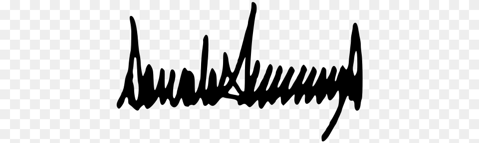 Donald J Trump Signature, Gray Free Png