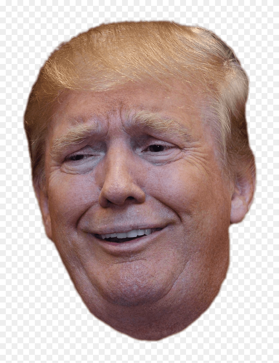 Donald Trump, Adult, Portrait, Photography, Person Free Png Download
