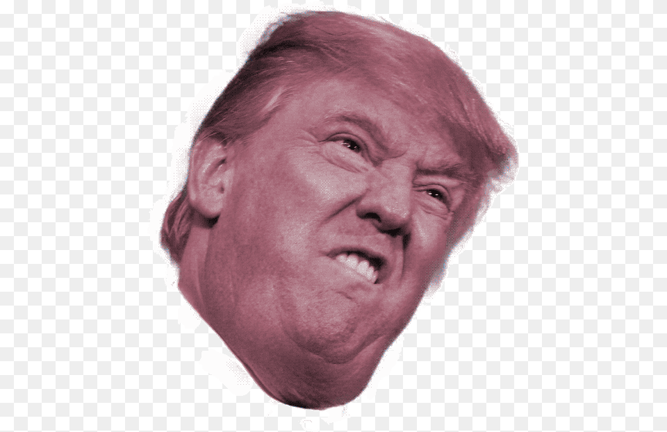 Donald Trump, Baby, Face, Head, Person Free Png Download