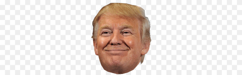 Donald Trump, Adult, Portrait, Photography, Person Free Transparent Png