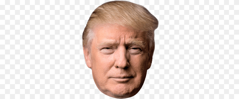 Donald Trump, Adult, Portrait, Photography, Person Free Png