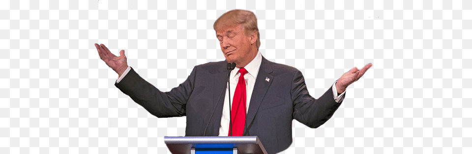 Donald Trump Arts, Adult, Person, People, Man Png Image