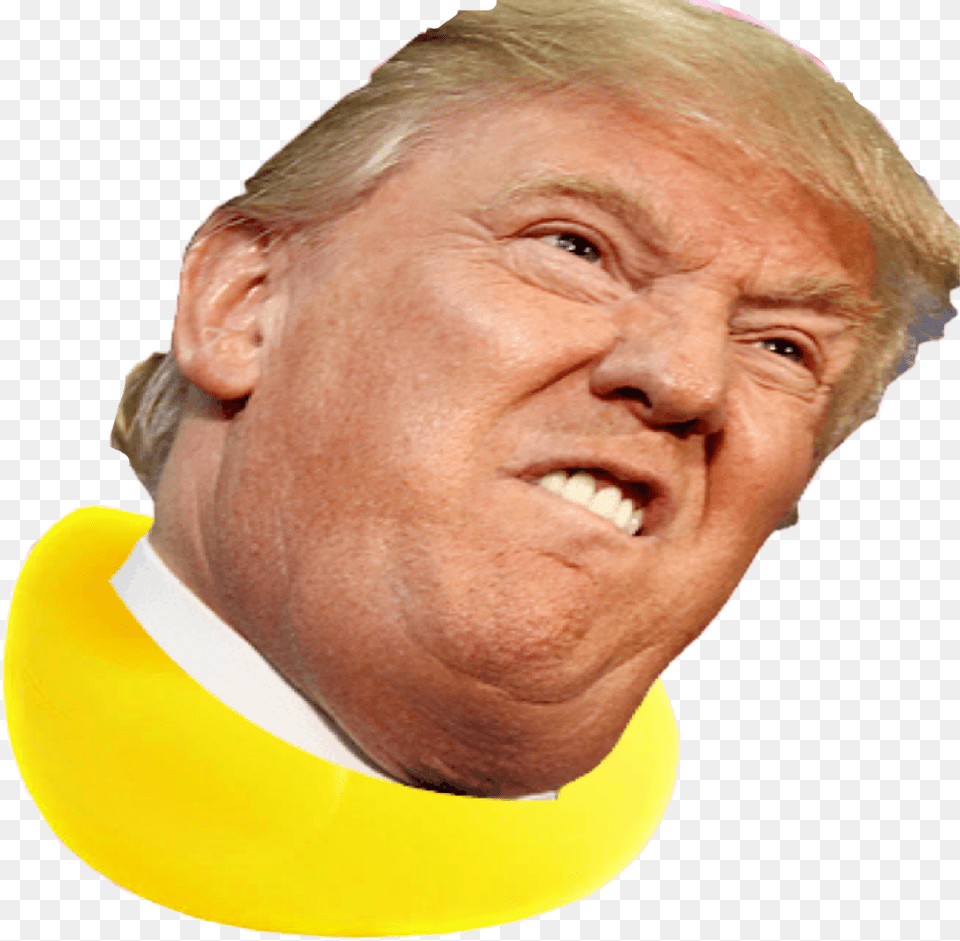 Donald Trump As A Duck Boris Johnson Trump Twins, Adult, Person, Man, Male Png