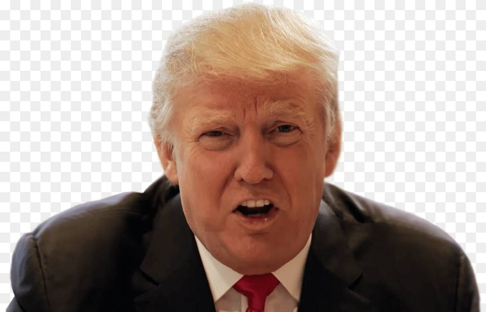 Donald Trump Businessperson, Man, Adult, Face, Person Free Png Download