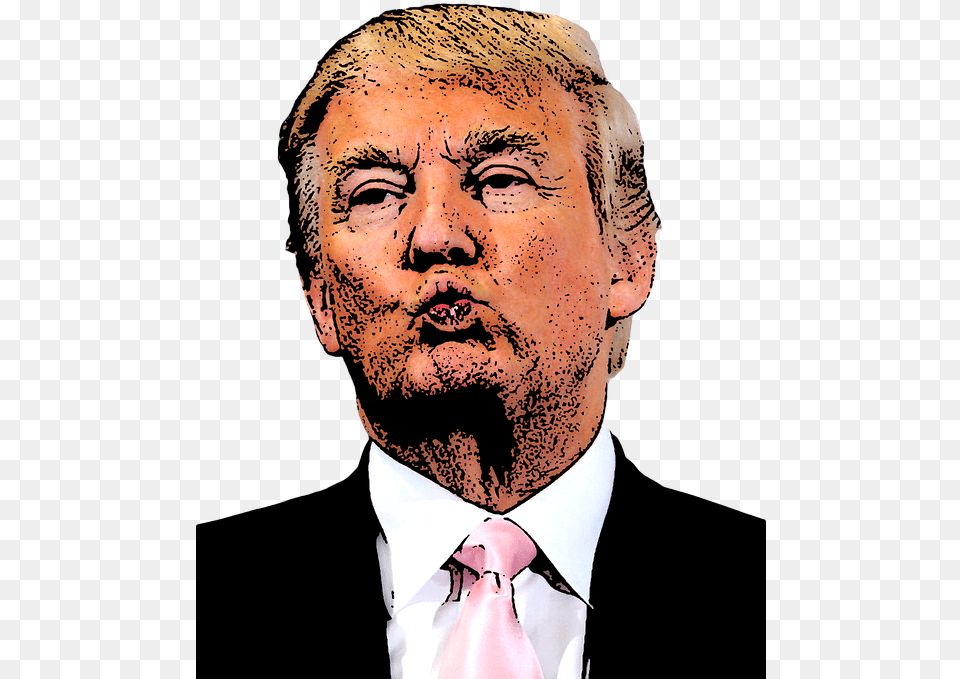 Donald Trump Cartoon Donald Trump President Usa Donald Trump Cartoon Face, Accessories, Portrait, Photography, Person Free Png