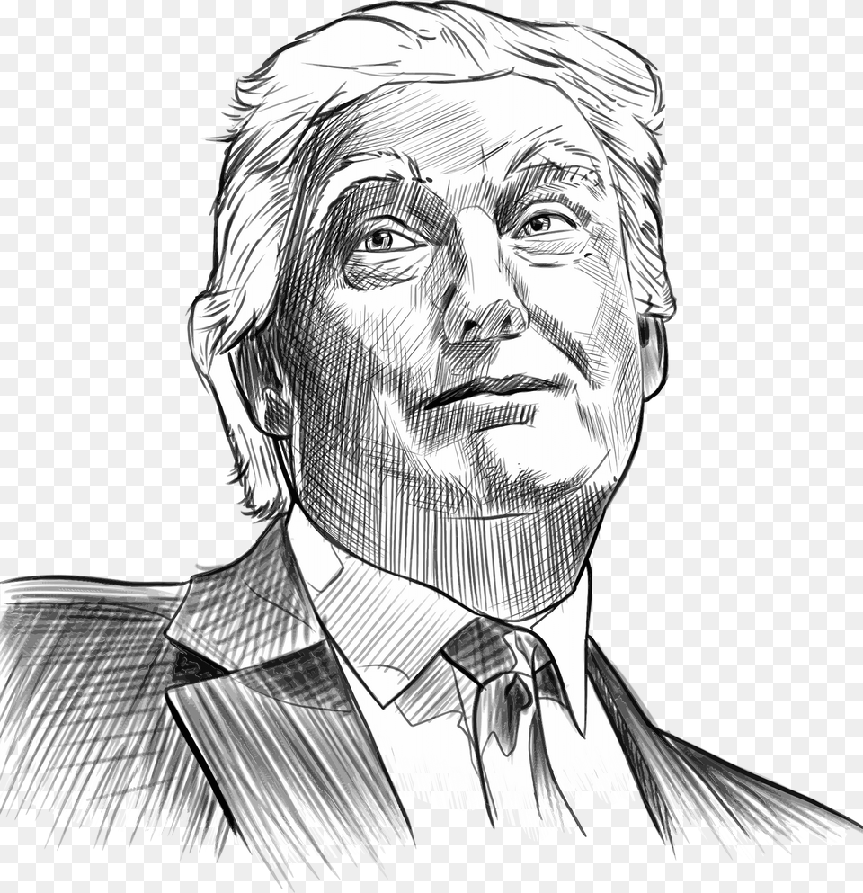 Donald Trump Clipart, Adult, Art, Drawing, Male Png