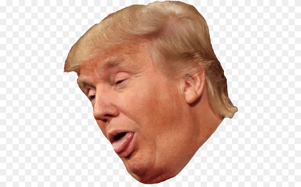 Donald Trump Clipart Head Stupid Trump, Face, Person Free Png