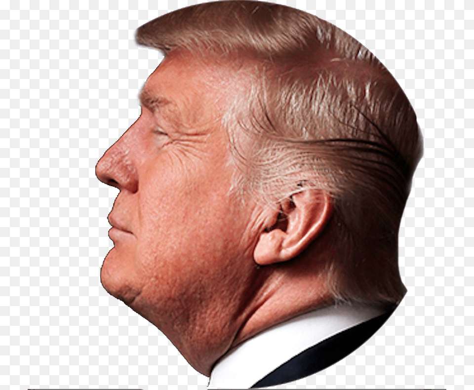 Donald Trump De Profil, Face, Head, Person, Adult Free Png Download