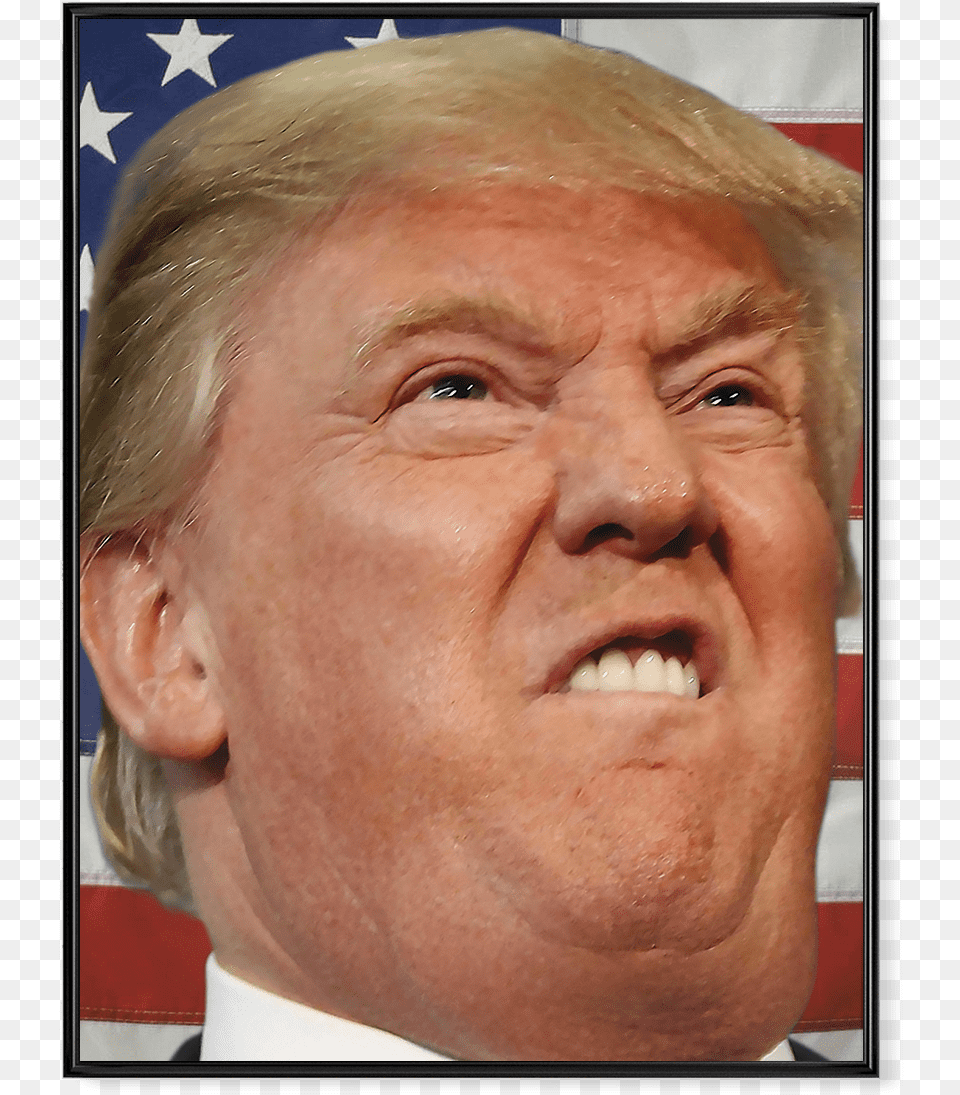 Donald Trump Face, Adult, Male, Man, Person Png