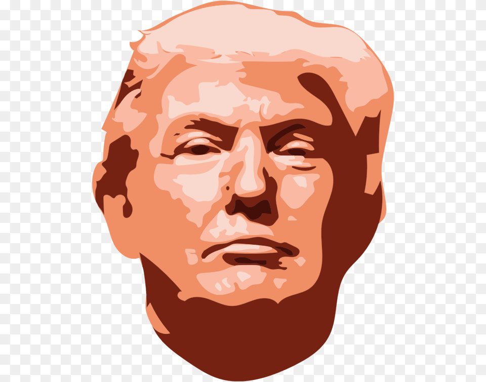 Donald Trump Face Cartoon, Head, Person, Photography, Portrait Free Png