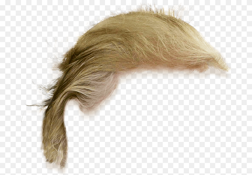 Donald Trump Hair 2 Image Donald Trump Hair, Accessories, Person, Woman, Female Png