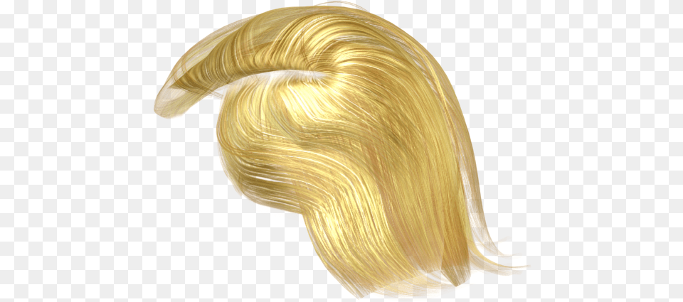 Donald Trump Hair 3d Model, Adult, Blonde, Female, Person Free Transparent Png