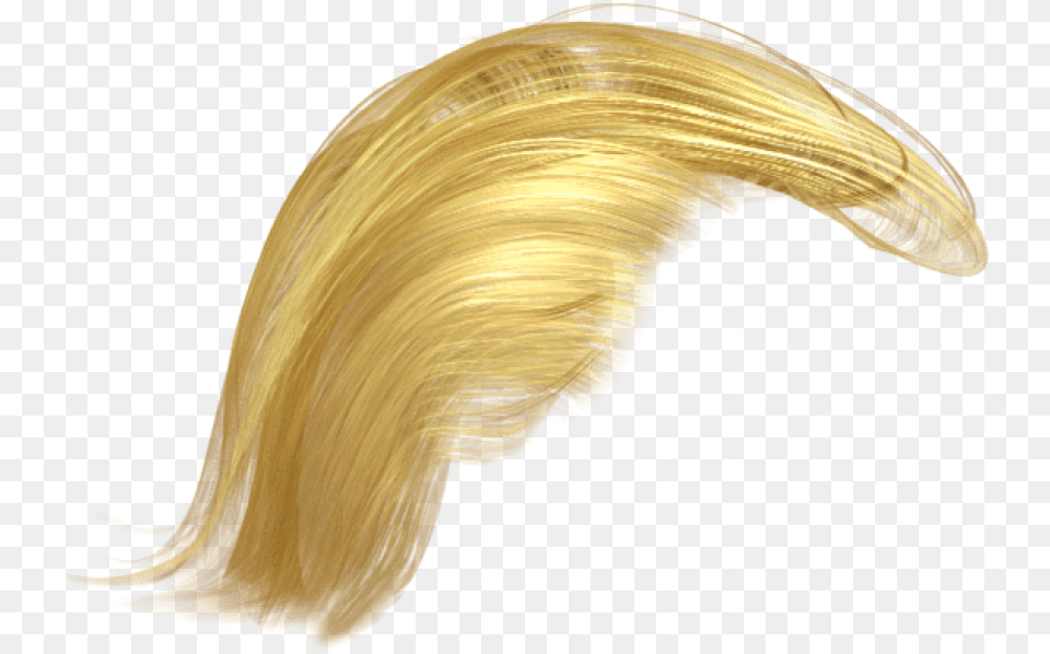 Donald Trump Hair Donald Trump Hair Background, Blonde, Person, Animal, Bird Png