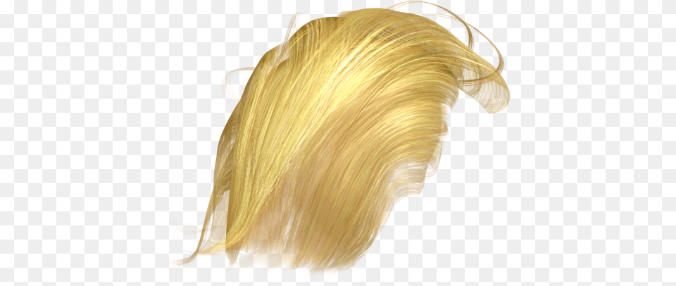 Donald Trump Hair Trump Hair Blonde, Person, Animal, Insect Free Transparent Png