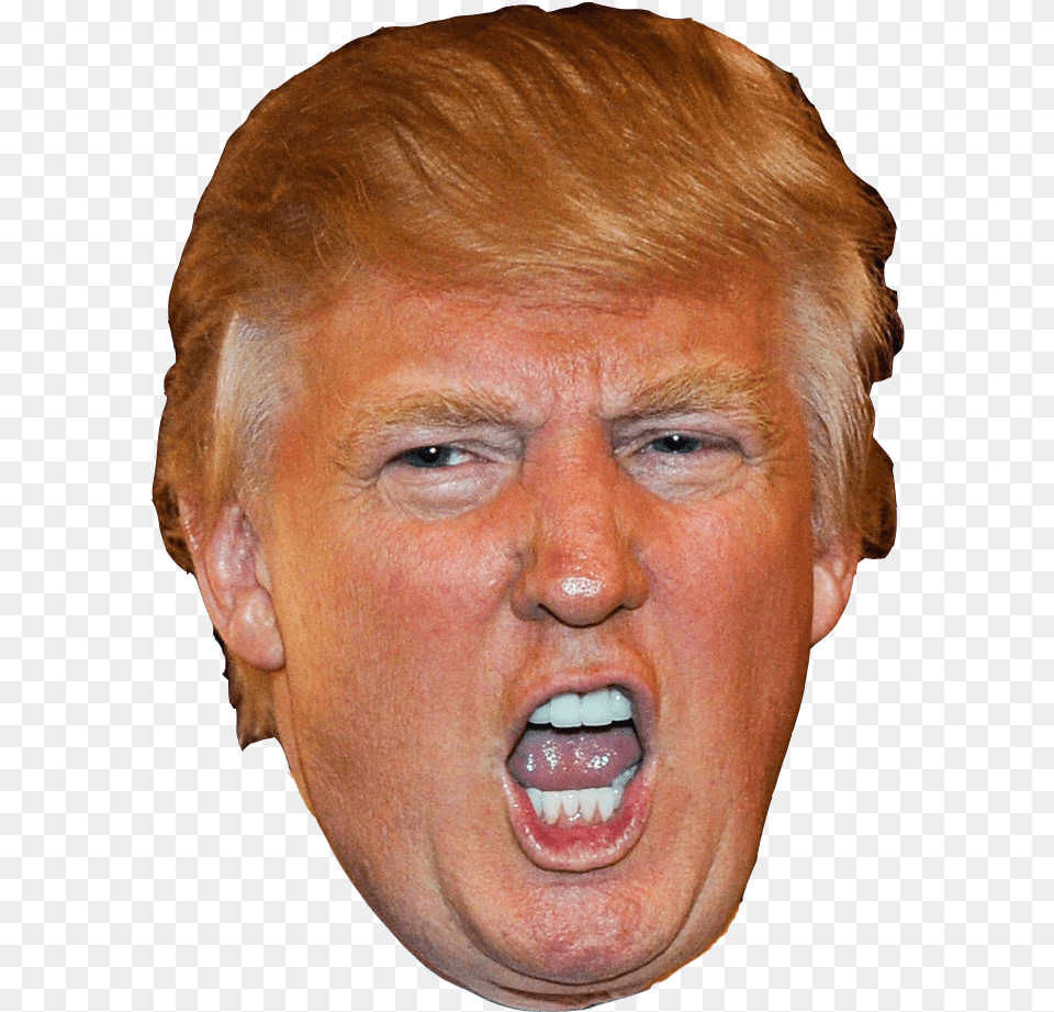 Donald Trump Head Happy Birthday Amber Funny, Adult, Person, Man, Male Png Image