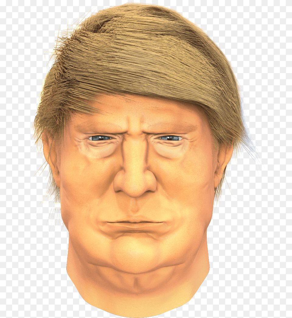 Donald Trump Head Sculpt Sketch, Adult, Sad, Portrait, Photography Png Image