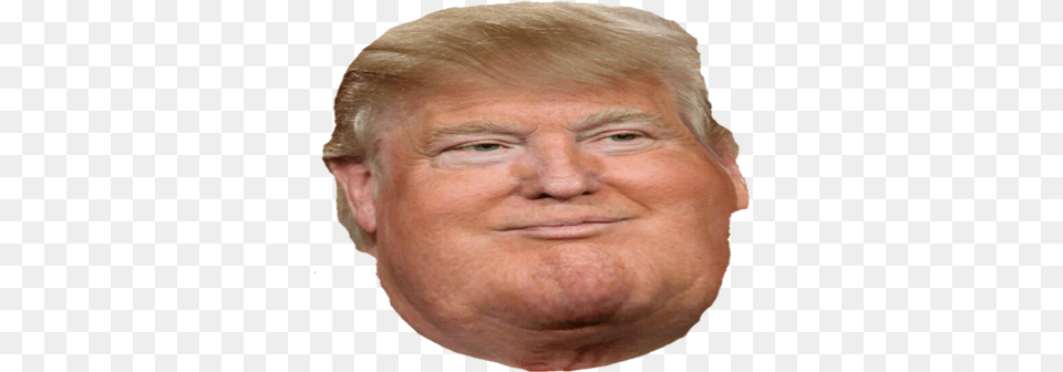 Donald Trump Head Donald Trump Head Only, Adult, Face, Male, Man Free Transparent Png