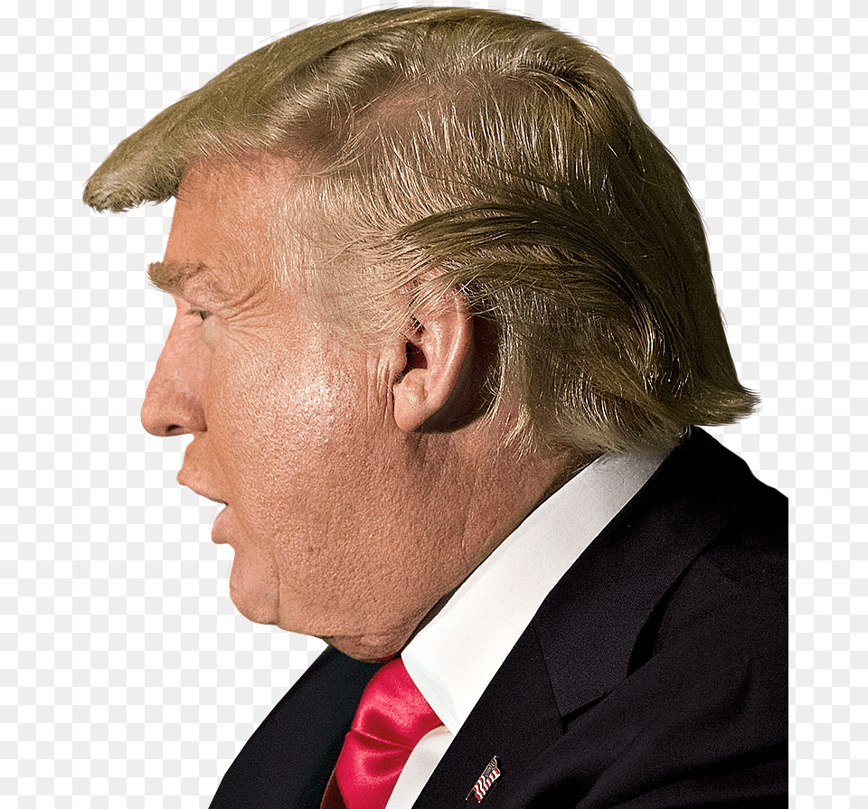 Donald Trump Head Will See You Un Court Clipart Donald Trump Side Face, Accessories, Person, Man, Male Free Png Download