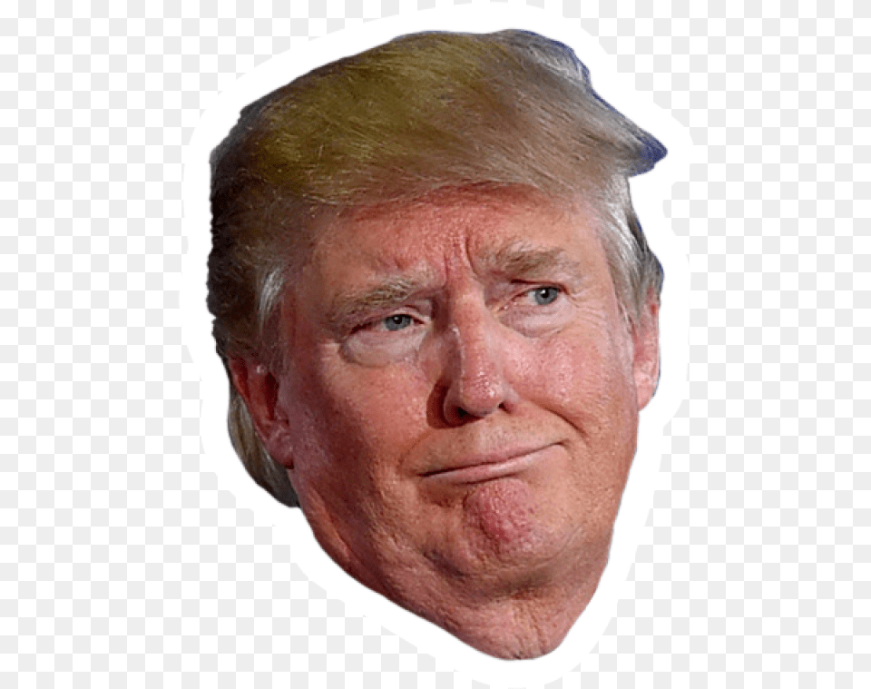 Donald Trump Image Donald Trump Face Transparent Background, Adult, Portrait, Photography, Person Free Png Download
