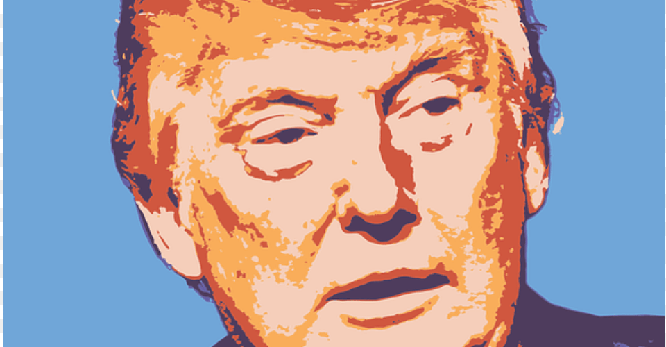 Donald Trump Portrait Art Picture On Stretched Canvas, Face, Head, Person, Photography Free Transparent Png