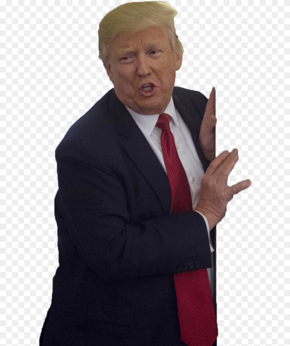 Donald Trump President Of The United States Businessperson Donald Trump Background, Accessories, Person, People, Man Free Png Download