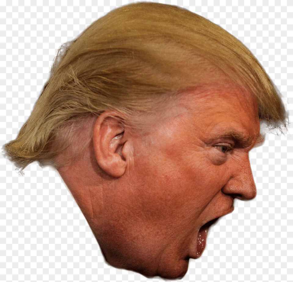 Donald Trump President Of The United States Republican Donald Trump Speech Bubble, Adult, Person, Head, Female Png Image