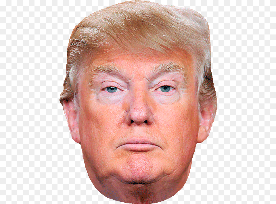 Donald Trump Rapist, Adult, Portrait, Photography, Person Free Transparent Png