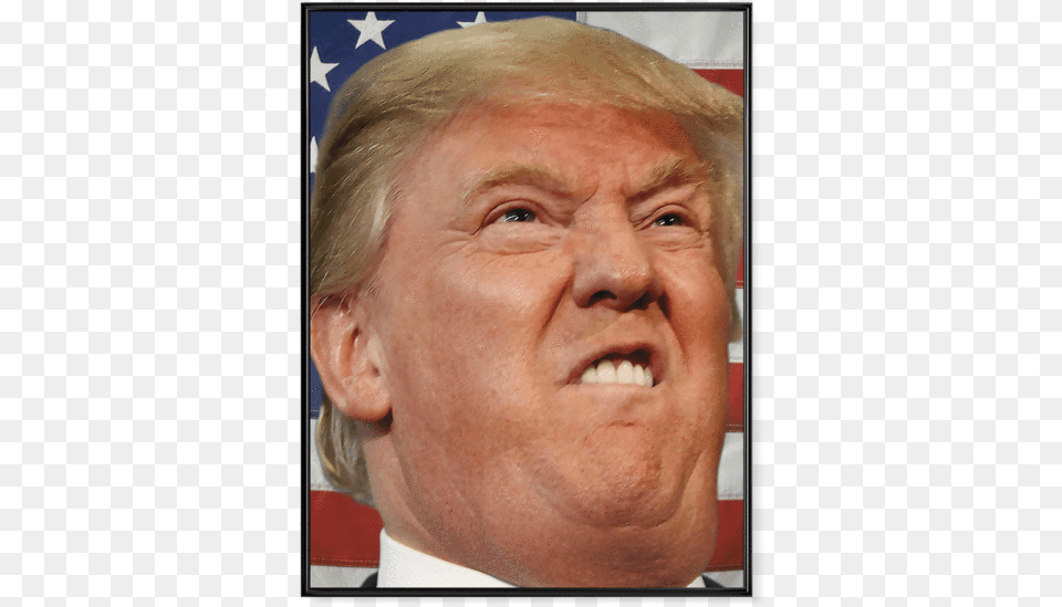 Donald Trump S Face V2 Donald Trump Come Face, Adult, Male, Man, Person Free Transparent Png