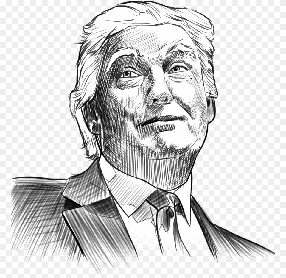 Donald Trump Sketch, Adult, Art, Drawing, Male Png