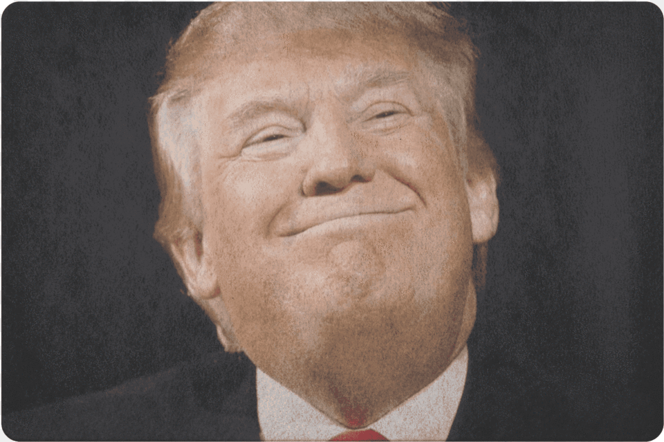 Donald Trump Smirk, Portrait, Face, Photography, Head Png