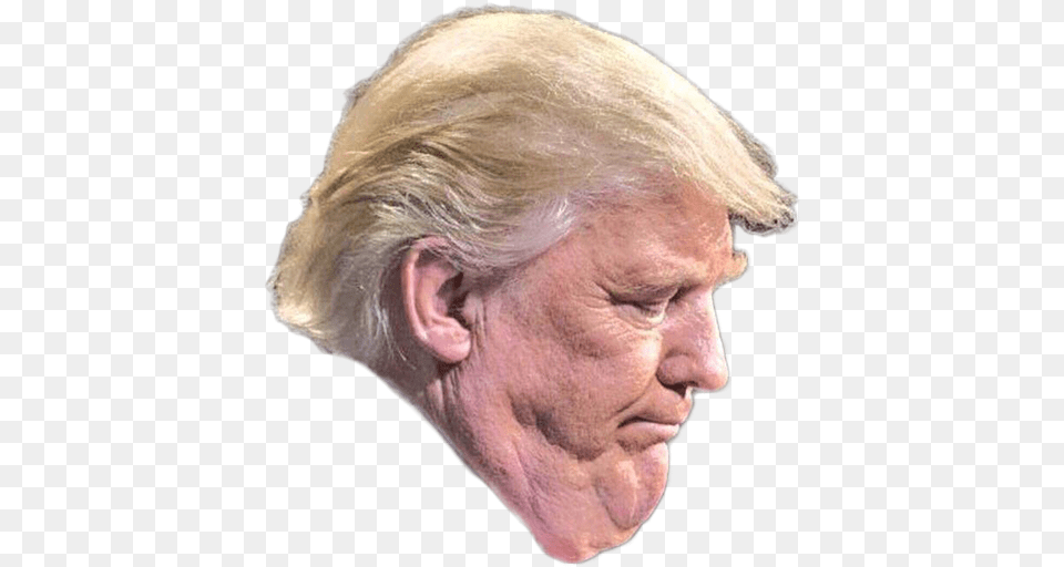 Donald Trump Trump Tower United States Trump39s Ugly, Adult, Photography, Person, Man Png Image