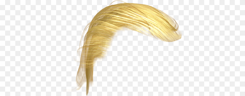 Donald Trump Wig Blond Hair Trump Free Transparent Png