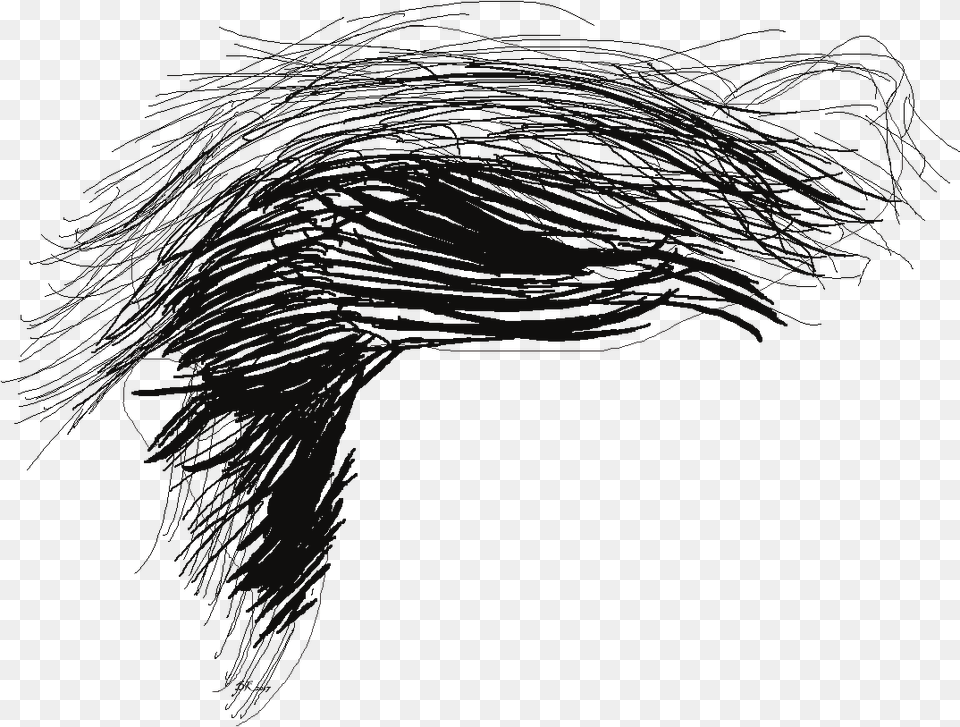 Donald Trumps Hair Sketch, Art, Drawing, Astronomy, Moon Free Png Download