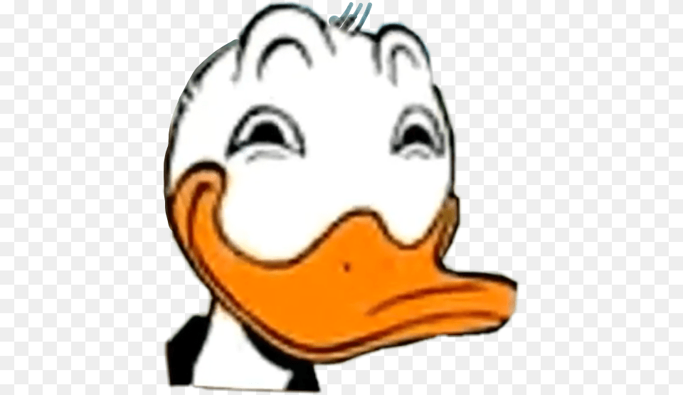 Donaldduck Disney Funny Meme Memes Freetoedit Funny Meme Transparent, Animal, Beak, Bird, Baby Png